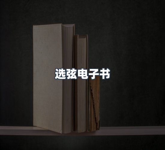 关于选弦电子书